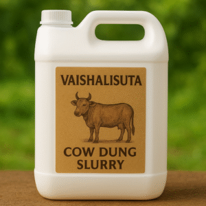cow dung slurry