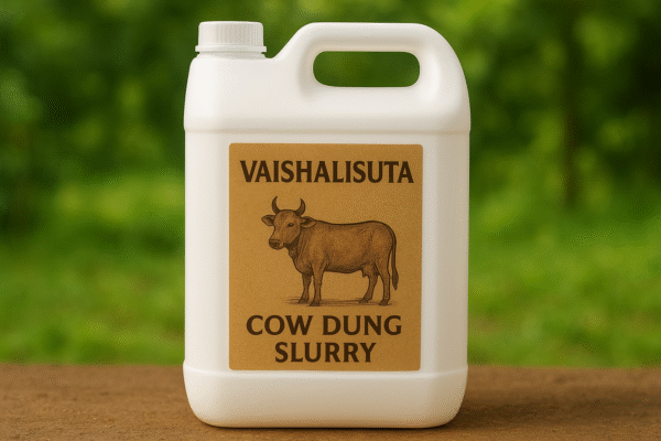 cow dung slurry