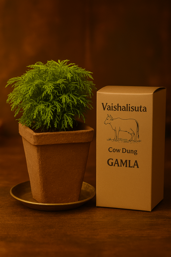 cow dung gamala (plant pot)